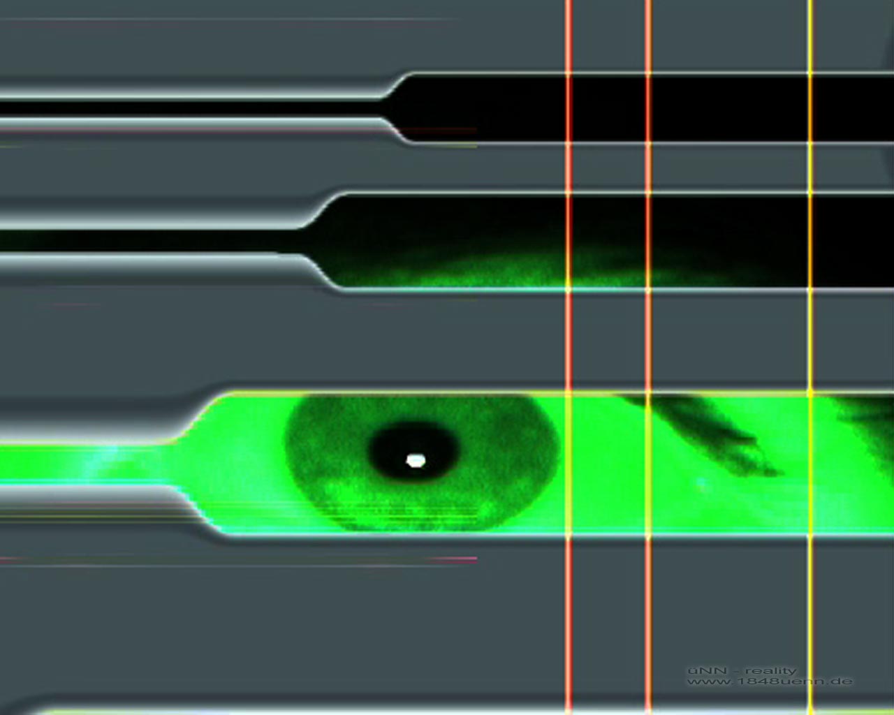 Loading Image