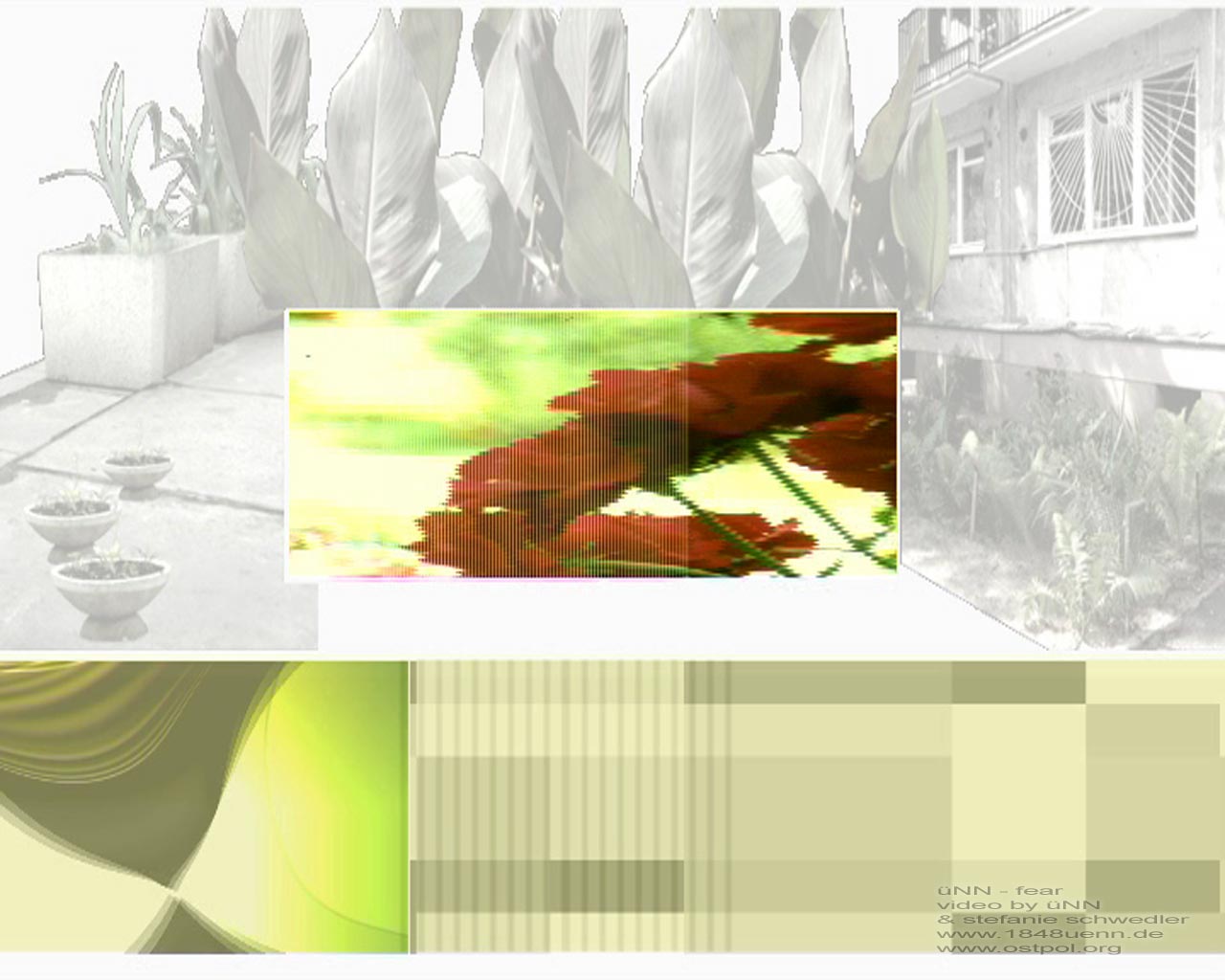 Loading Image