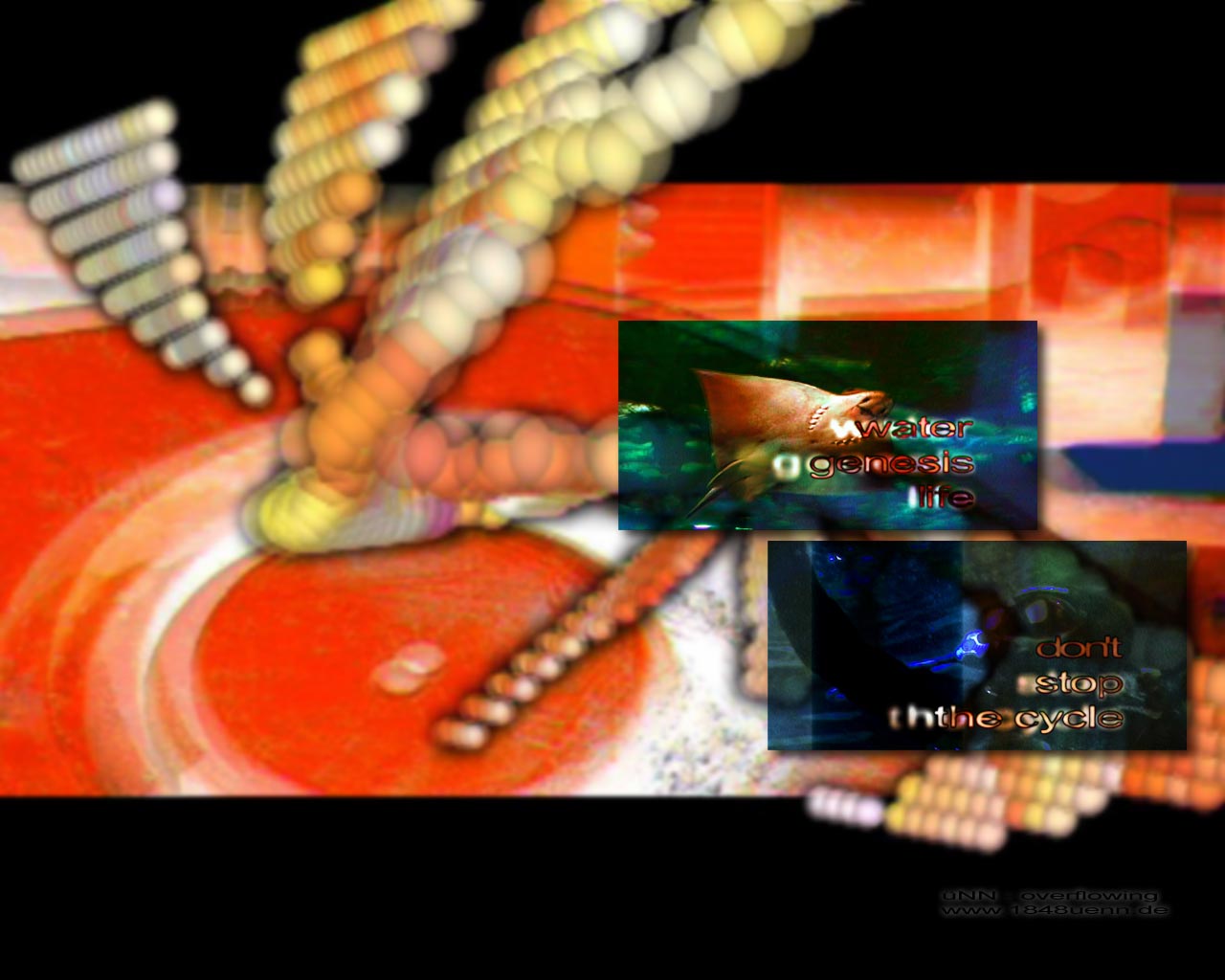 Loading Image